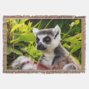 close-up of a madagascar lemur on throw blanket