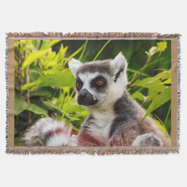 close-up of a madagascar lemur on throw blanket (Front)