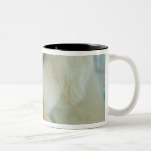 Close-up of a miniature poodle eating food Two-Tone coffee mug
