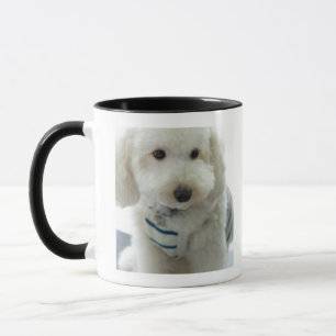 Close-up of a miniature poodle mug