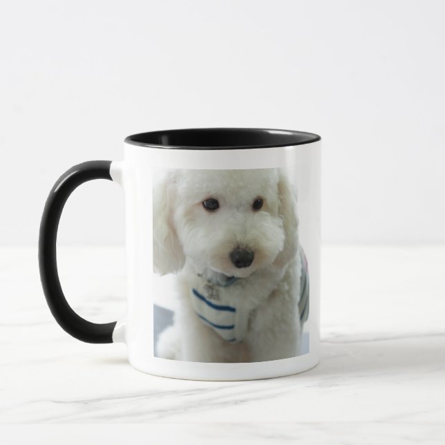 Close-up of a miniature poodle mug (Left)