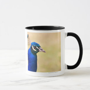 Close-up of a peacock 2 mug