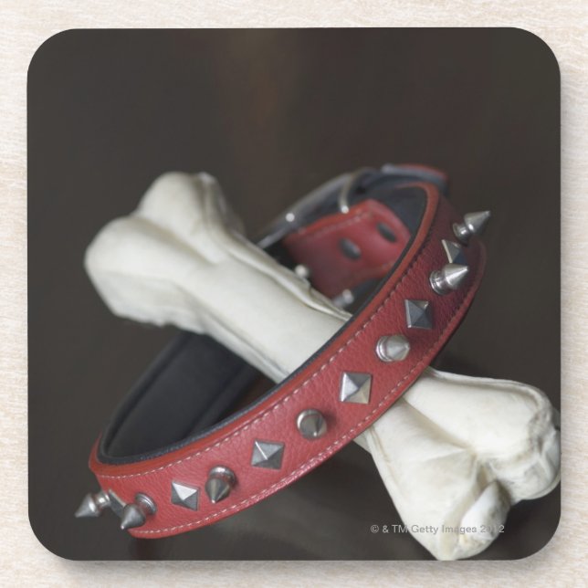 Close-up of a pet collar and a dog bone coaster (Front)