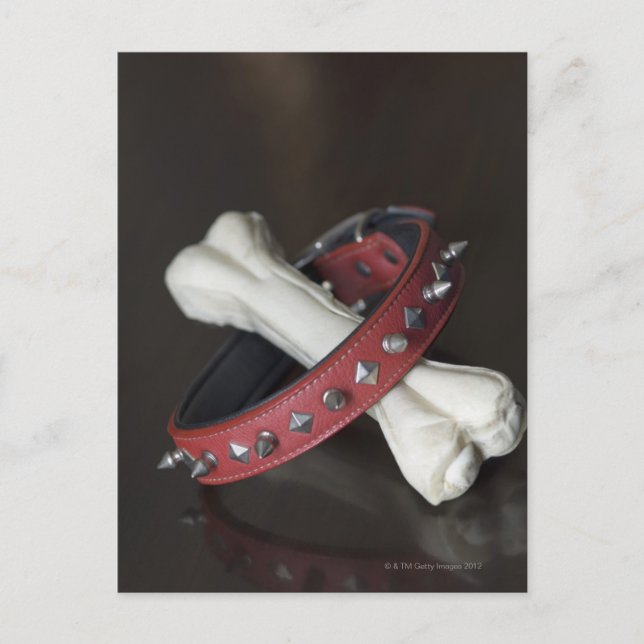 Close-up of a pet collar and a dog bone postcard (Front)
