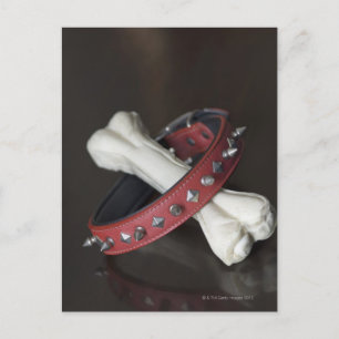Close-up of a pet collar and a dog bone postcard