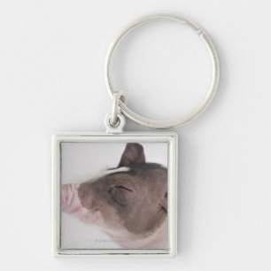 Close-up of a piglet's head, smiling key ring