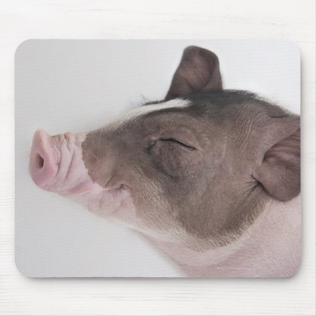 Close-up of a piglet's head, smiling mouse pad (Front)