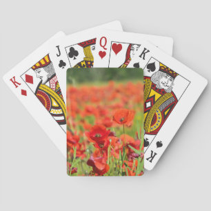 Close-up of a Poppy field, France Playing Cards
