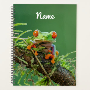 Close up of a Red Eyed Tree Frog Planner