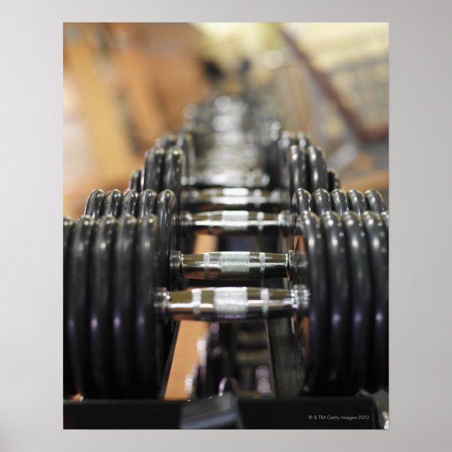 Close-up of a row of dumbbells poster (Front)