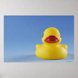 Close-up of a rubber duck poster
