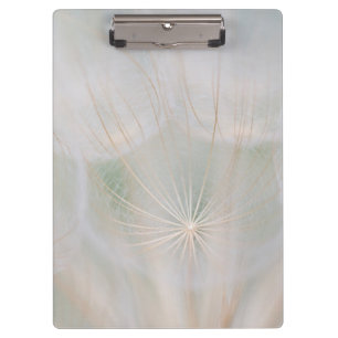 Close up of a seed head, Canada Clipboard