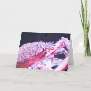 Close up of a Spider crab Holiday Card