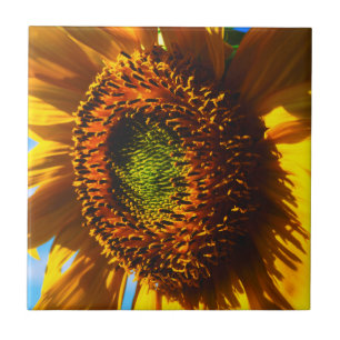 Close-up of a sunflower ceramic tile