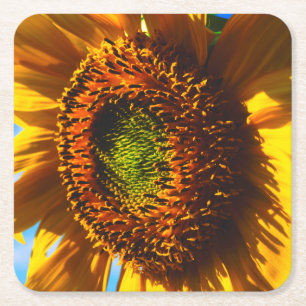 Close-up of a sunflower square paper coaster