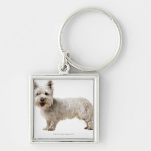 Close up of a terrier key ring