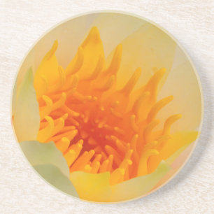 Close-Up Of A Water Lily Coaster