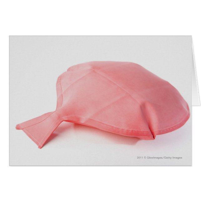 Close-up of a whoopee cushion (Front Horizontal)