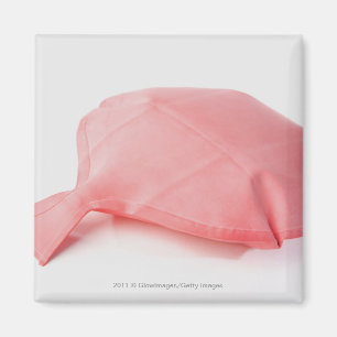 Close-up of a whoopee cushion magnet