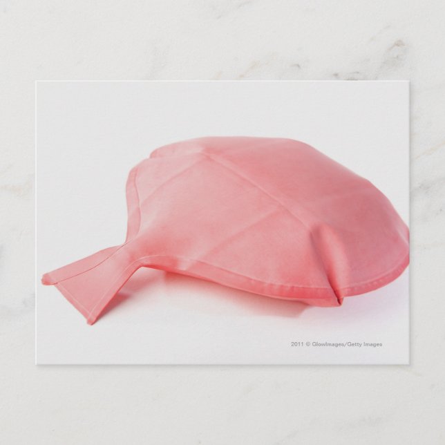 Close-up of a whoopee cushion postcard (Front)