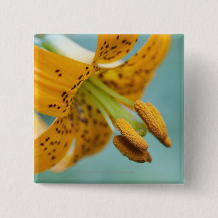 Close Up of a Yellow Lily 15 Cm Square Badge