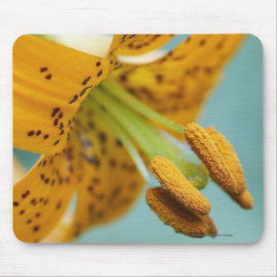 Close Up of a Yellow Lily Mouse Pad