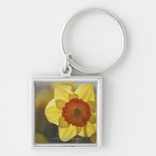Close Up of a Yellow/Orange Daffodil Key Ring (Front)
