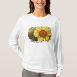 Close Up of a Yellow/Orange Daffodil T-Shirt