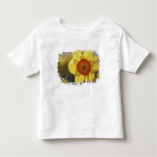 Close Up of a Yellow/Orange Daffodil Toddler T-Shirt