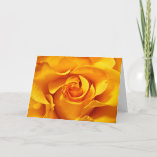 Close Up of a Yellow Rose Card
