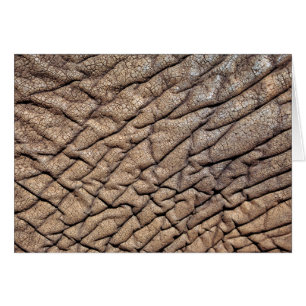 Close-Up Of African Elephant's Hide