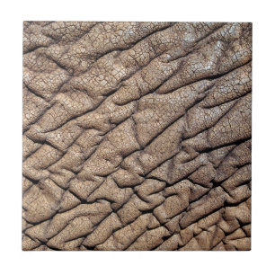 Close-Up Of African Elephant's Hide Ceramic Tile