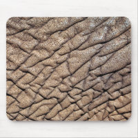 Close-Up Of African Elephant's Hide