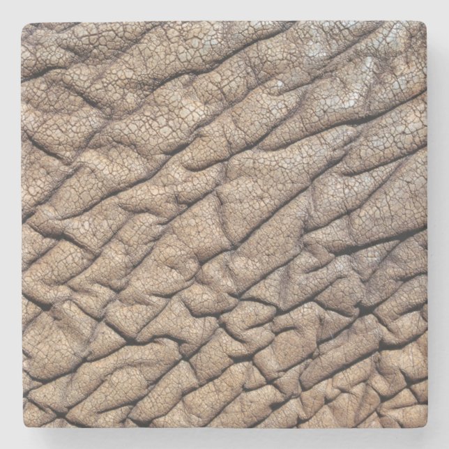 Close-Up Of African Elephant's Hide Stone Coaster (Front)