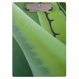 Close Up Of Agave Clipboard