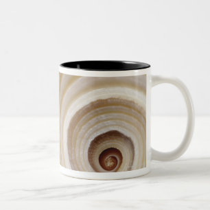 Close-up of an animal shell Two-Tone coffee mug