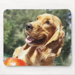 Close-up of an apple in front of a dog mouse pad