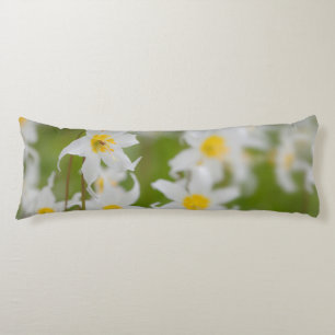 Close-up of avalanche lilies body cushion