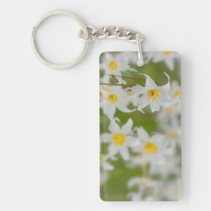 Close-up of avalanche lilies key ring