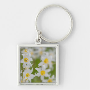 Close-up of avalanche lilies key ring