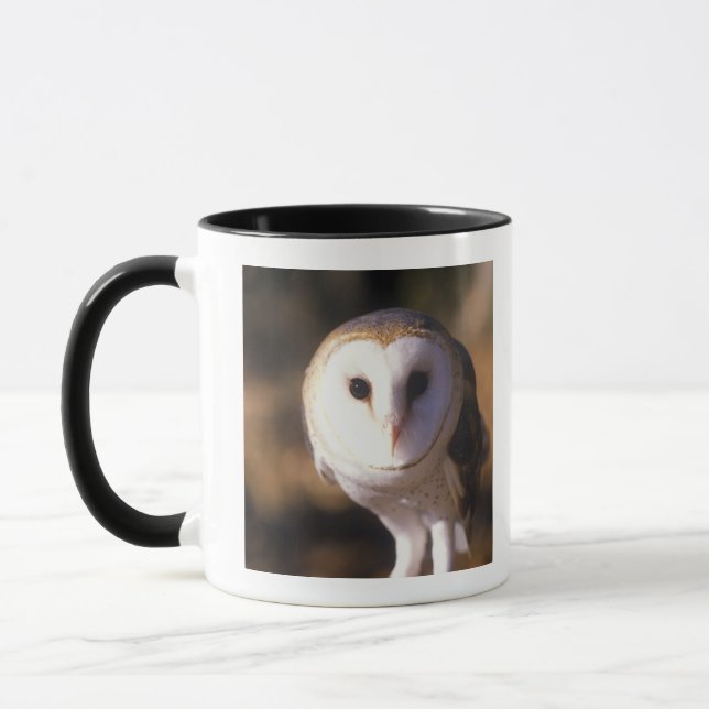 'Close-up of Barn Owl, Land Between Lakes, KY' Mug (Left)
