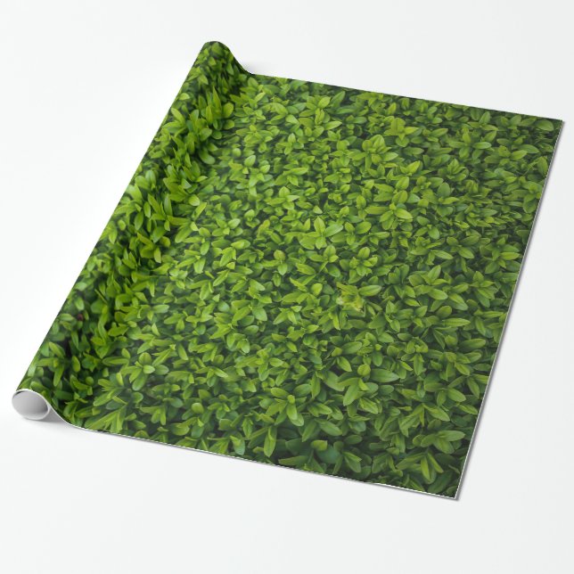 Close Up of Bright Green Hedge Wrapping Paper (Unrolled)