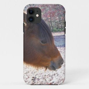 Close up of Brown horse, Little Brown Pony iPhone 11 Case