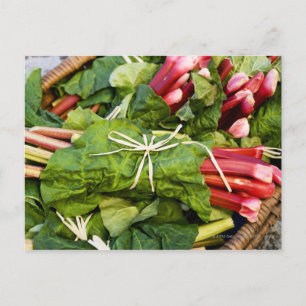 Close-up of bunches of rhubarb in basket postcard