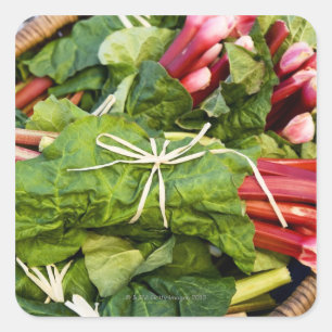 Close-up of bunches of rhubarb in basket square sticker