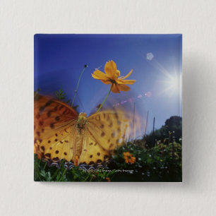Close-up of Butterfly, flapping wings 15 Cm Square Badge