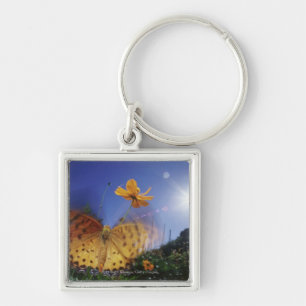 Close-up of butterfly, flapping wings key ring