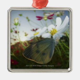 Close-up of butterfly on flower metal ornament