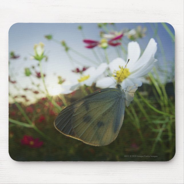 Close-up of butterfly on flower mouse pad (Front)