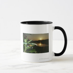 Close-up of Butterfly on leaf at sunset Mug